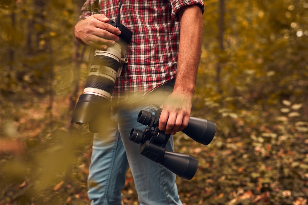 Observación de aves